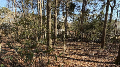 Rosemary Rd, Yemassee, SC