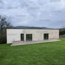 AI generated vision plan