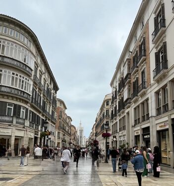 Calle Larios Málaga 