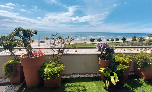 Ocean view