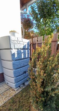 Water collector for yard