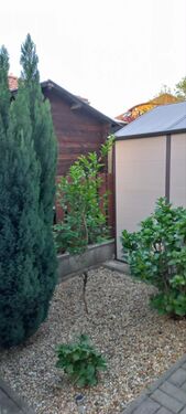 Shed in yard