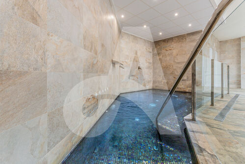 Wellness / jacuzzi