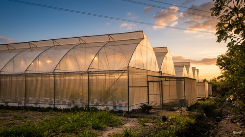 Greenhouse Complex