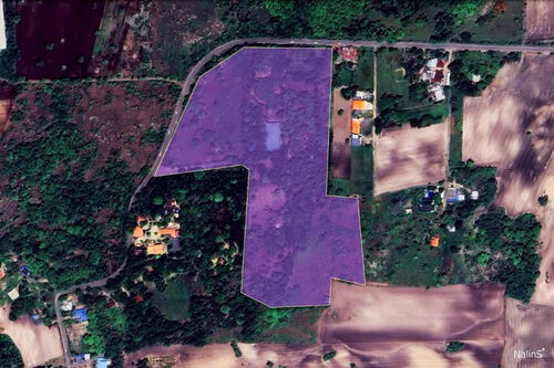 Aerial Property Overview