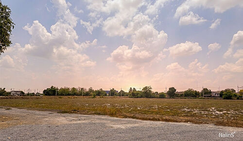 Development Site Overview
