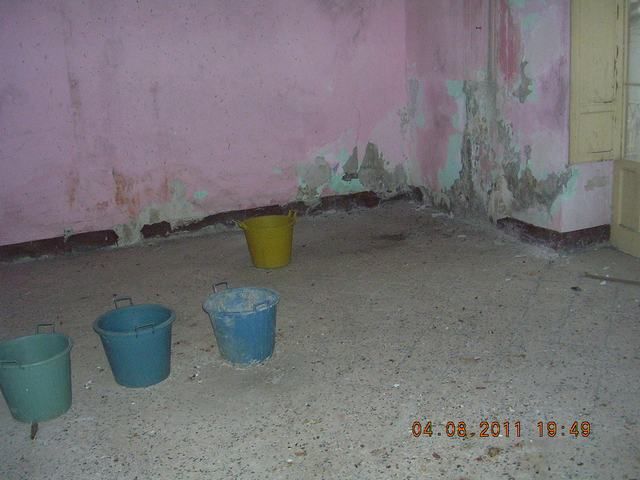 Pic 4