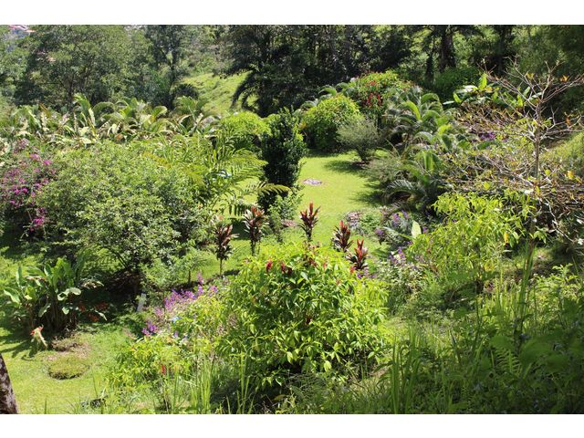 Land beside the house