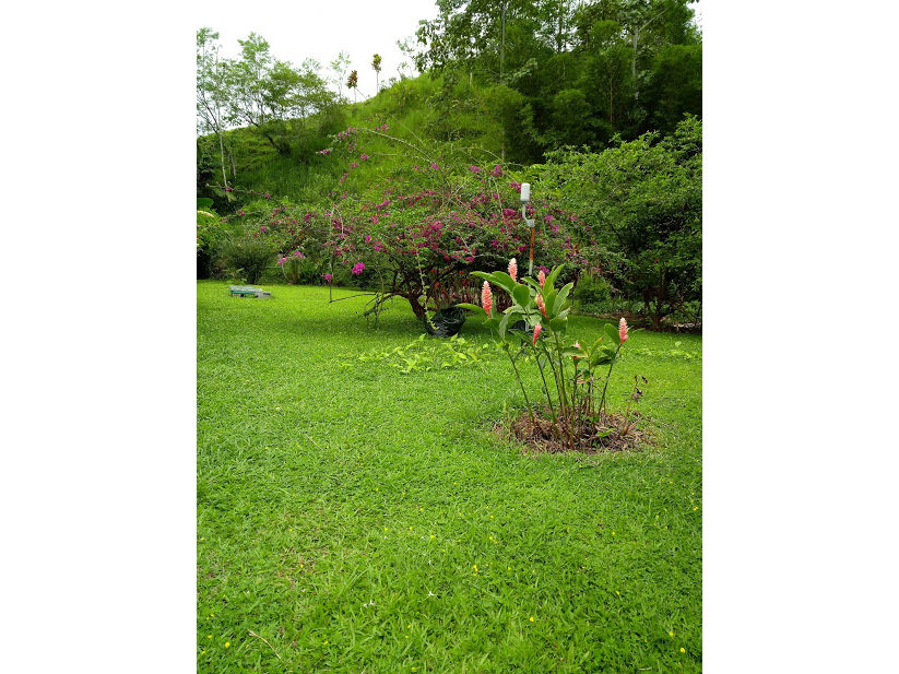 Land beside the house