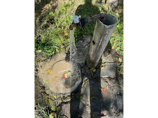 Spring Water