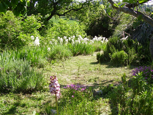 Terraced gardens