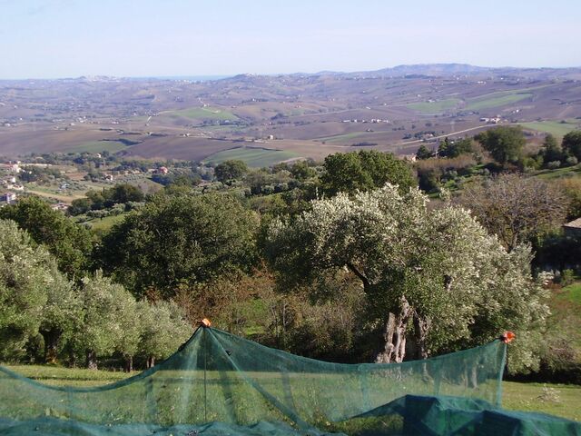 Harvesting showing sea