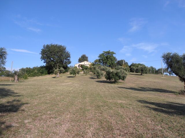 House from our trees