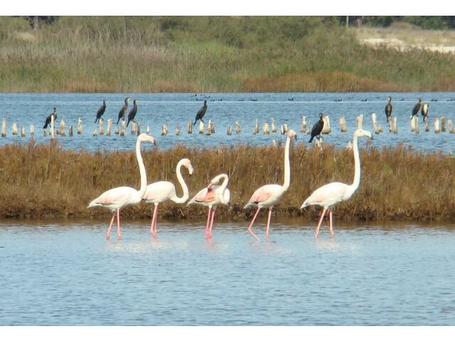 Santo Andre Lagoon