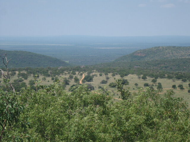 View from the hill