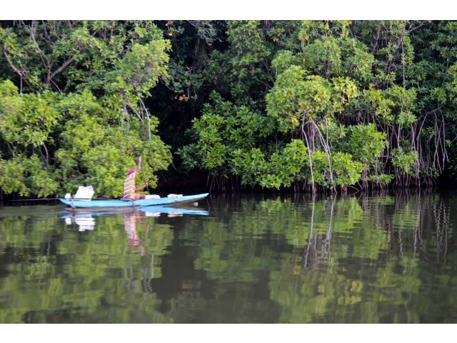 Koggala lake