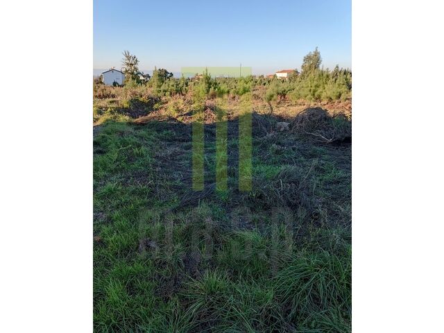 Plot of land 
