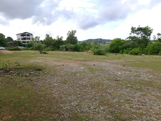 Property Views