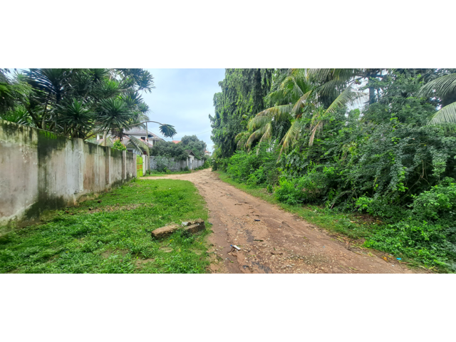 Access Road 