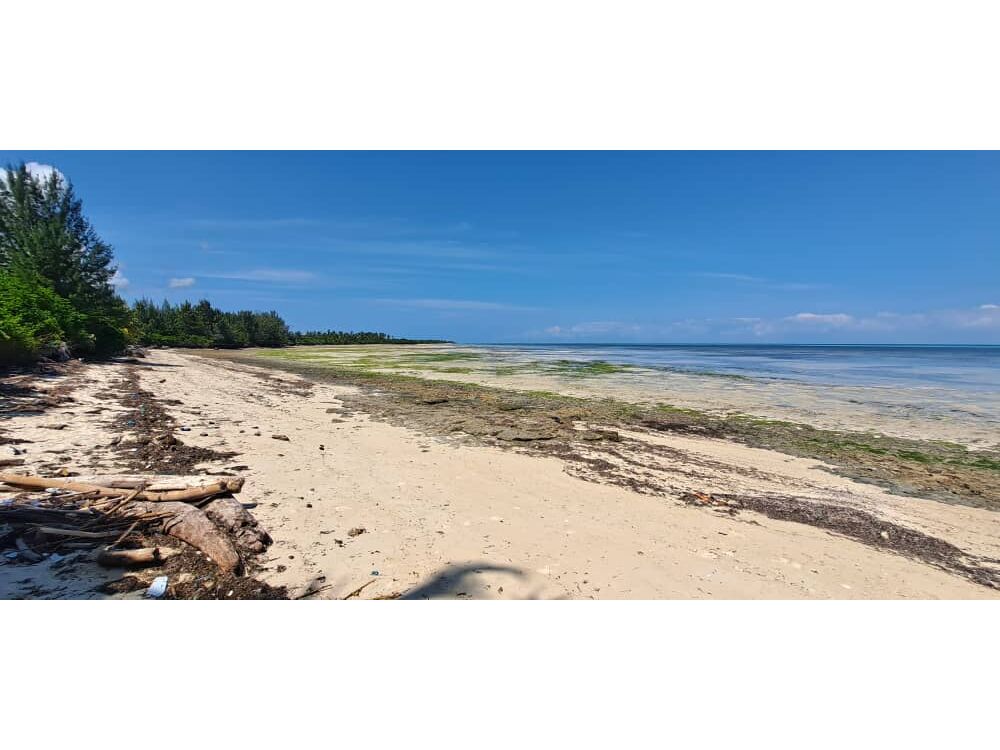 Beachfront
