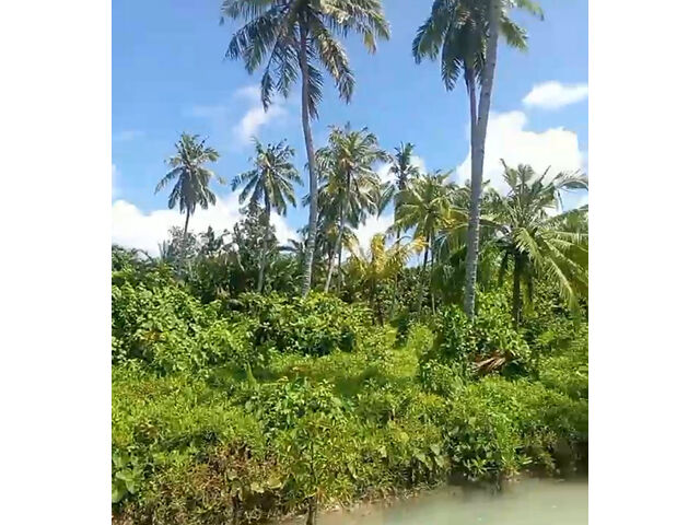 Sipora Island