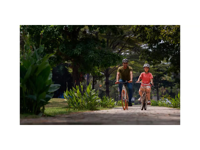 Cycling Track