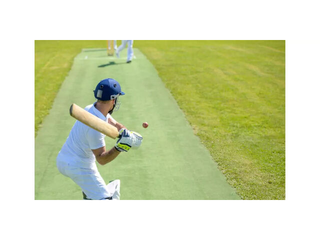 Cricket Turf