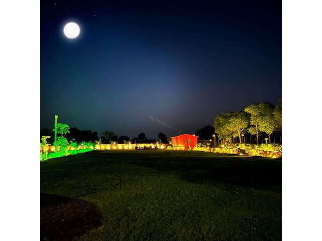 Garden Night view