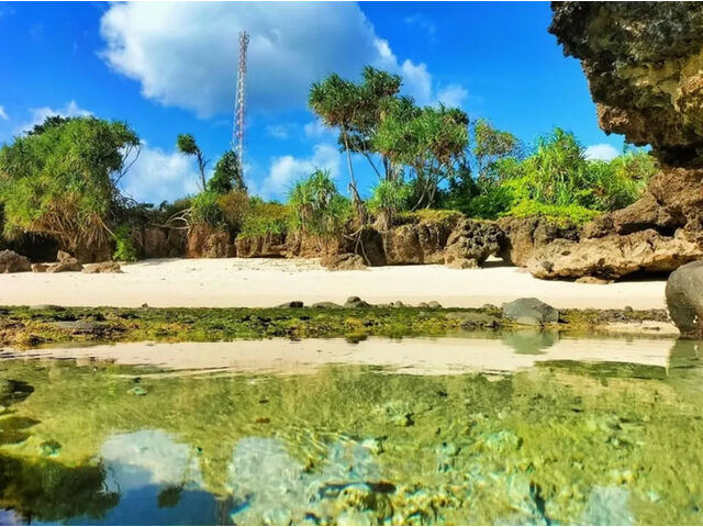 Turtle Road