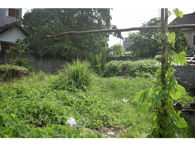 Berawa Land