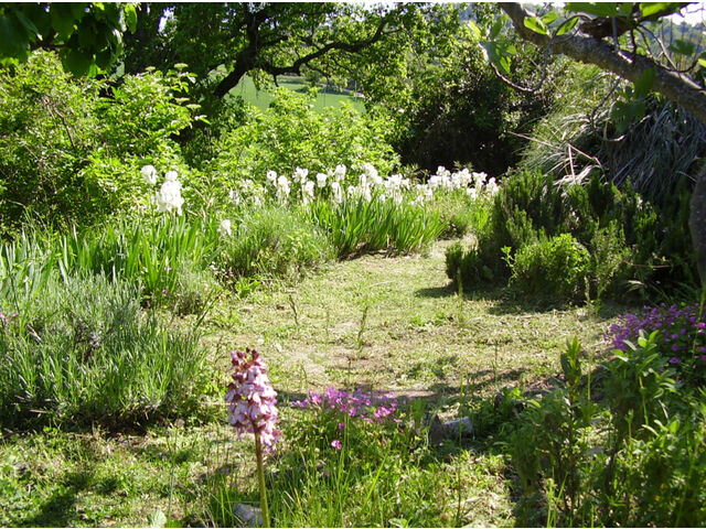 Terraced Garden