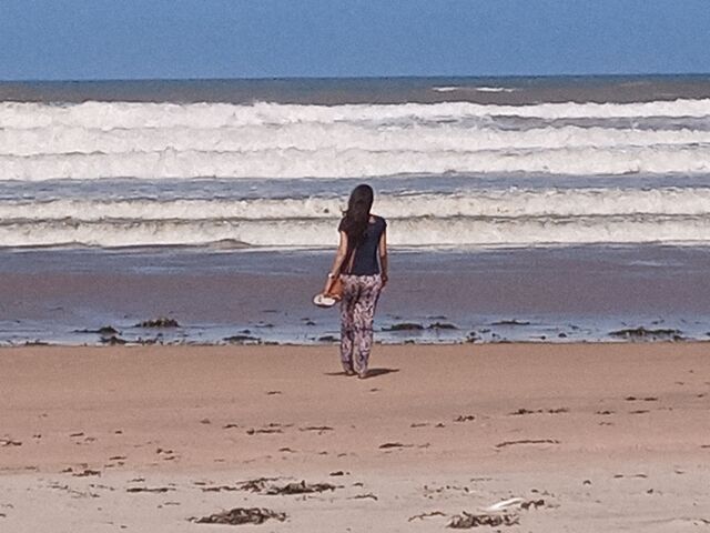 the beach 