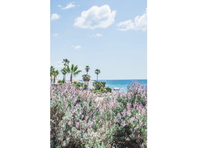 playa