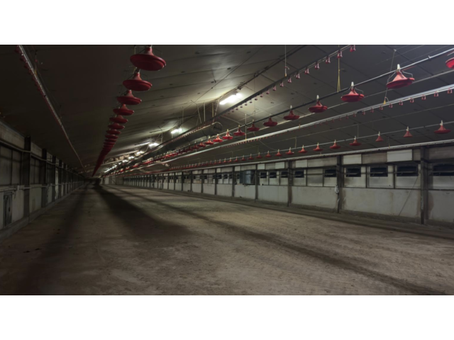 Inside Farm