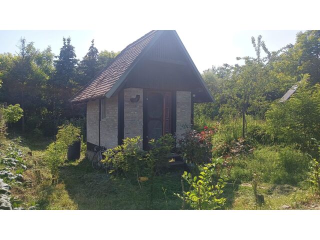 Latest image 