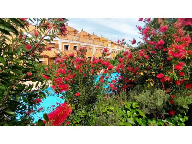 Gardens and Pool