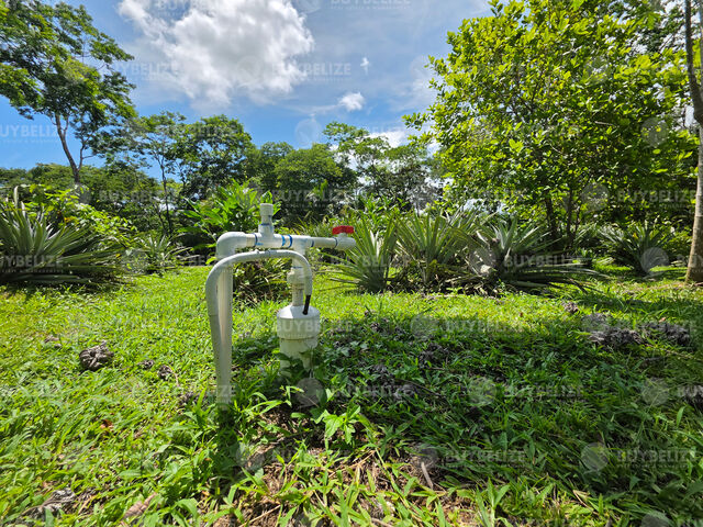 Water Well 