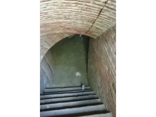 cellar
