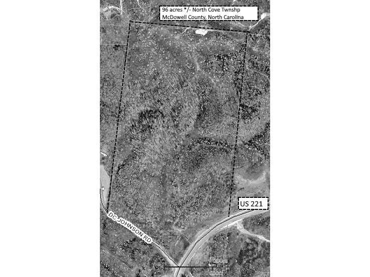 96 Acres Timberland
