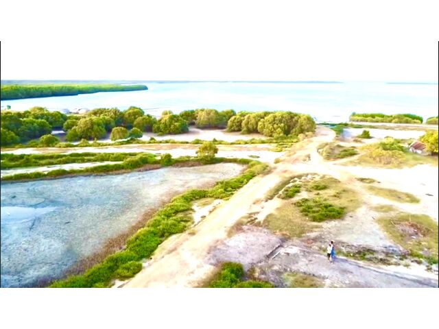 Drone view 