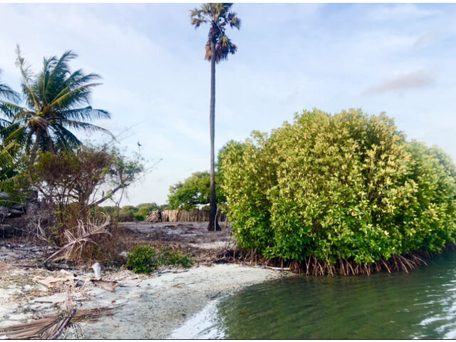 From lagoon to landslide 