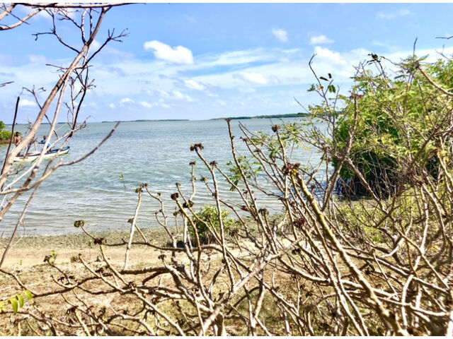 From land to lagoon view 