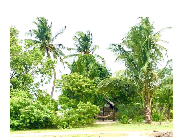 Inside of the land 