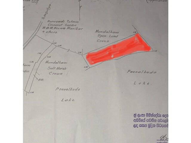 Title Plan 