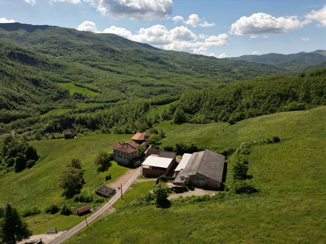 F.HOUSE,TOOL SHED, STABLE