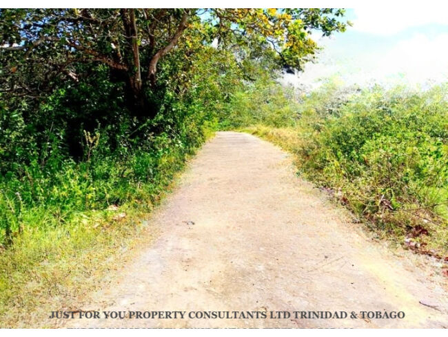 Land for Sale in Trinidad