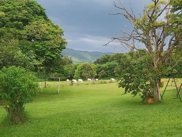 Grassed area from of main