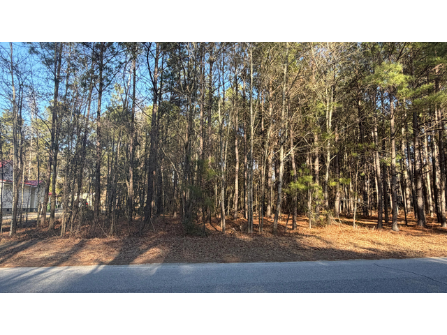 713 Branch Rd, Timmonsvil