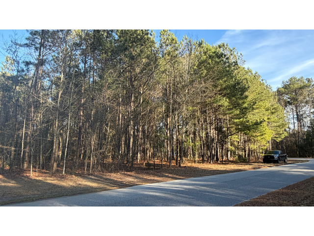 713 Branch Rd, Timmonsvil