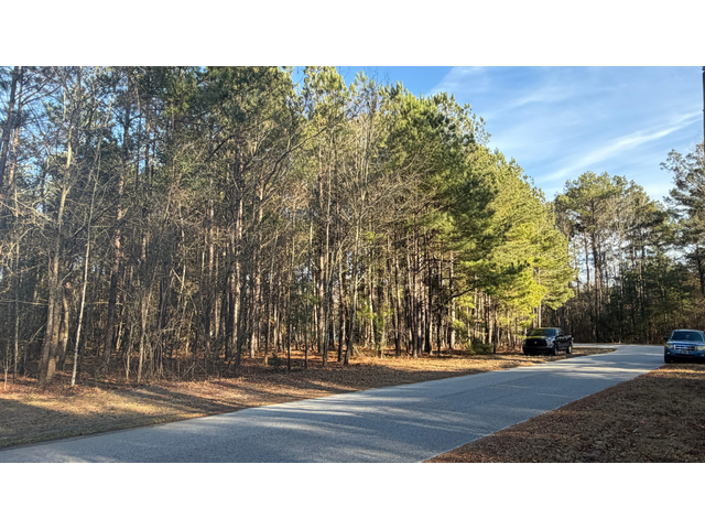 713 Branch Rd, Timmonsvil